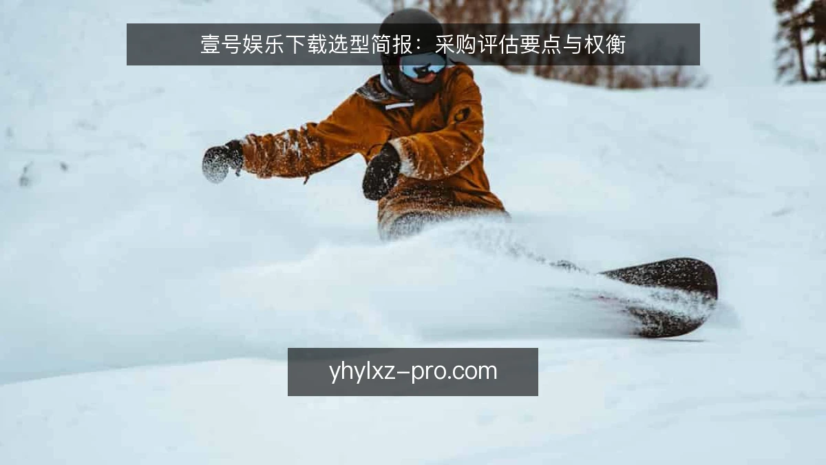 壹号娱乐下载选型简报:采购评估要点与权衡