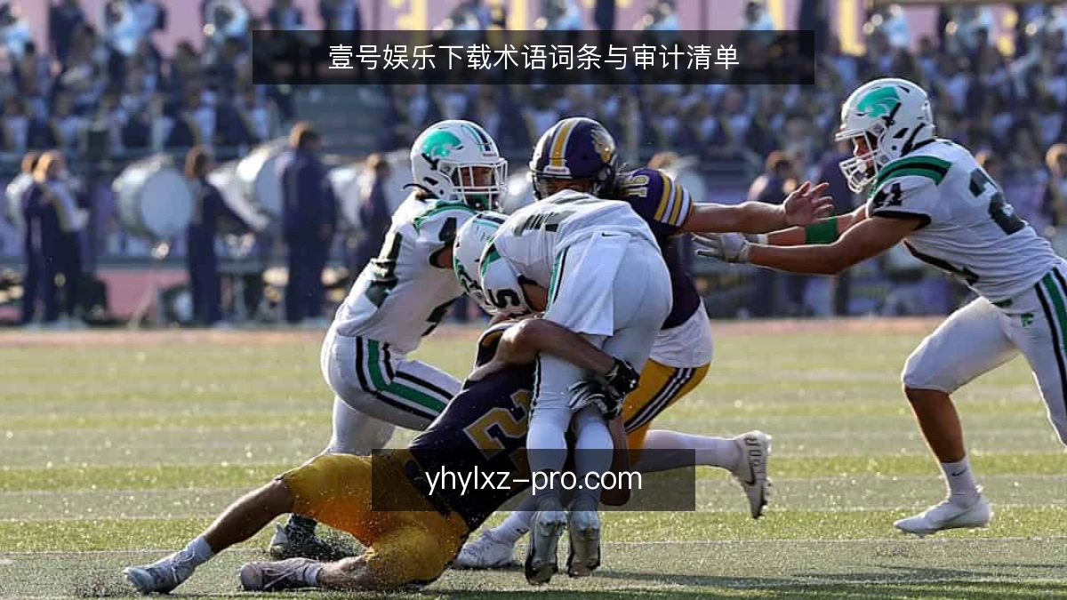 壹号娱乐下载术语词条与审计清单